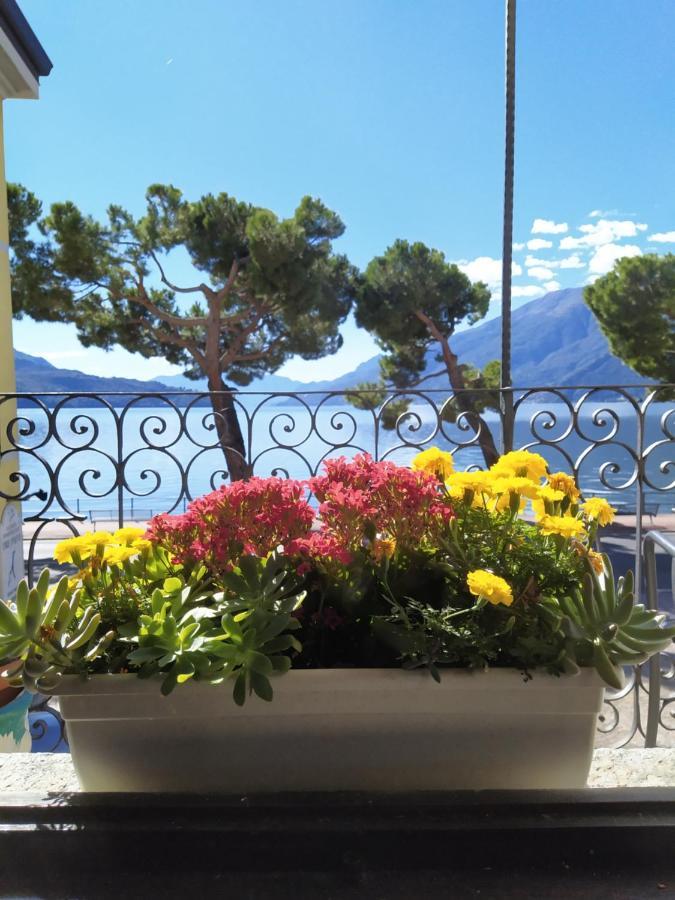 Casa D'Epoca Fronte Lago A Domaso Lago Di Como Eksteriør billede
